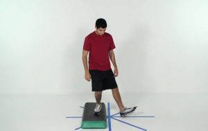 personal trainer fitness software