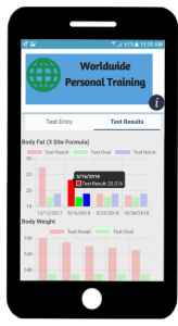 Fitness Now phone app testing
