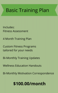 online personal training package